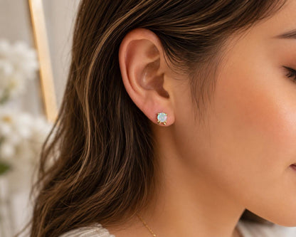 Four Park Earrings Theme Park Stud Earrings